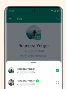 WhatsAp WebStories1_InsightsMix